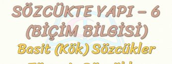 SÖZCÜKTE YAPI – 6 / BASİT SÖZCÜKLER -TÜREMİŞ SÖZCÜKLER