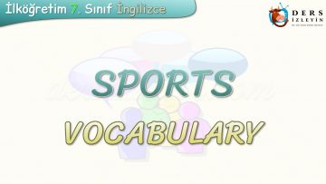 SPORTS / VOCABULARY