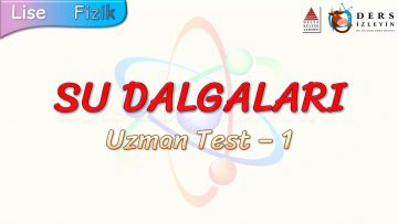 SU DALGALARI / UZMAN TEST – 1