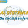SU EKOSİSTEMLERİ (DOĞAL SİSTEMLER – 5) (AYT)