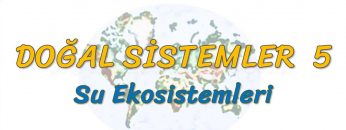 SU EKOSİSTEMLERİ (DOĞAL SİSTEMLER – 5) (AYT)