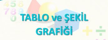 TABLO VE ŞEKİL GRAFİĞİ
