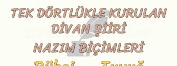 TEK DÖRTLÜKLE KURULAN DİVAN ŞİİRİ NAZIM BİÇİMLERİ / RÜBAİ – TUYUĞ