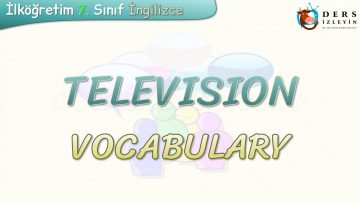 TELEVISION / VOCABULARY