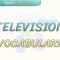 TELEVISION / VOCABULARY