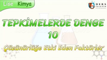 TEPKİMELERDE DENGE – 10 / ÇÖZÜNÜRLÜĞE ETKİ EDEN FAKTÖRLER