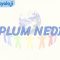 TOPLUM NEDİR