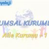 TOPLUMSAL KURUMLAR – 1 / AİLE KURUMU – 1