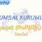TOPLUMSAL KURUMLAR – 7 / SİYASET – 1