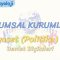 TOPLUMSAL KURUMLAR – 8 / SİYASET – 2