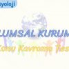 TOPLUMSAL KURUMLAR / KONU KAVRAMA TESTİ