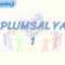 TOPLUMSAL YAPI – 1
