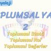 TOPLUMSAL YAPI – 2