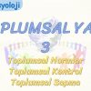 TOPLUMSAL YAPI – 3