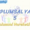 TOPLUMSAL YAPI – 5