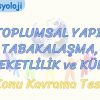 TOPLUMSAL YAPI, TABAKALAŞMA, HAREKETLİLİK VE KÜLTÜR / KONU KAVRAMA TESTİ