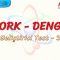 TORK – DENGE / GELİŞTİRİCİ TEST – 3
