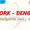 TORK – DENGE / GELİŞTİRİCİ TEST – 4