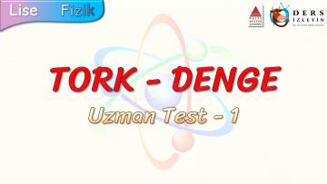 TORK – DENGE / UZMAN TEST – 1