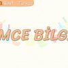 TÜMCE BİLGİSİ