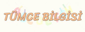 TÜMCE BİLGİSİ