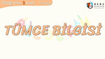 TÜMCE BİLGİSİ