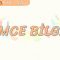 TÜMCE BİLGİSİ