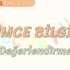 TÜMCE BİLGİSİ / DEĞERLENDİRME