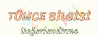 TÜMCE BİLGİSİ / DEĞERLENDİRME