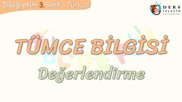 TÜMCE BİLGİSİ / DEĞERLENDİRME