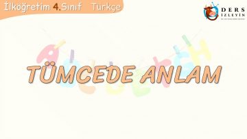 TÜMCEDE ANLAM