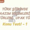 TÜRK ŞİİRİNDE NAZIM BİÇİMLERİ, ŞİİR TÜRLERİ VE UYAK TÜRLERİ / KONU TESTİ – 1