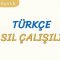 TÜRKÇE DERSİ NASIL ÇALIŞILIR