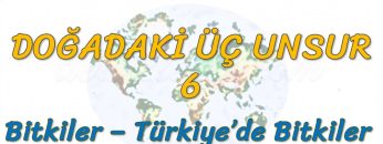 TÜRKİYE DE BİTKİLER (DOĞADAKİ ÜÇ UNSUR – 6) -TYT