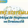 TÜRKİYEDE HAYVANCILIK VE ORMANCILIK (BEŞERİ SİSTEMLER – 9) – AYT