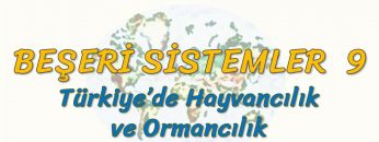 TÜRKİYEDE HAYVANCILIK VE ORMANCILIK (BEŞERİ SİSTEMLER – 9) – AYT
