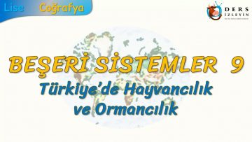 TÜRKİYEDE HAYVANCILIK VE ORMANCILIK (BEŞERİ SİSTEMLER – 9) – AYT