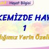 ÜLKEMİZDE HAYAT – 1 / YAŞADIĞIMIZ YERİN ÖZELLİKLERİ