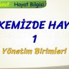 ÜLKEMİZDE HAYAT – 1 / YÖNETİM BİRİMLERİ