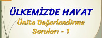 ÜLKEMİZDE HAYAT / ÜNİTE DEĞERLENDİRME SORULARI – 1