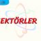 VEKTÖRLER – 2