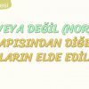 VEYA DEĞİL KAPISINDAN DİĞER KAPILARIN ELDE EDİLMESİ