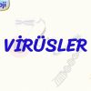 VİRÜSLER