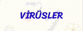 VİRÜSLER