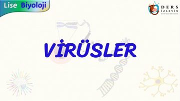 VİRÜSLER