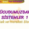 VÜCUDUMUZDAKİ SİSTEMLER – 1 / DESTEK VE HAREKET SİSTEMİ