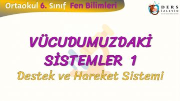 VÜCUDUMUZDAKİ SİSTEMLER – 1 / DESTEK VE HAREKET SİSTEMİ