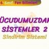 VÜCUDUMUZDAKİ SİSTEMLER – 2 / SİNDİRİM SİSTEMİ