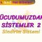VÜCUDUMUZDAKİ SİSTEMLER – 2 / SİNDİRİM SİSTEMİ