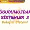 VÜCUDUMUZDAKİ SİSTEMLER – 3 / DOLAŞIM SİSTEMİ